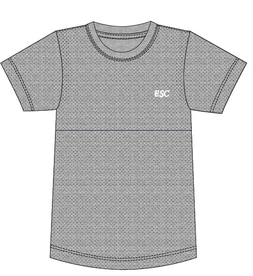 ESC145G - T-shirt de sport dry fit gris